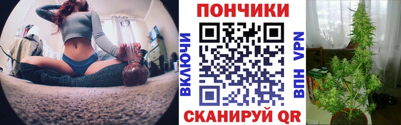 Бошки Шишки планчик  гидра зеркало  Пудож 